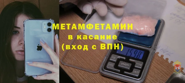 индика Вязьма