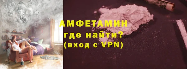 индика Вязьма