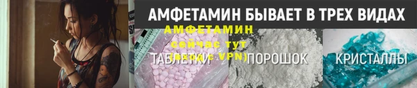 индика Вязьма