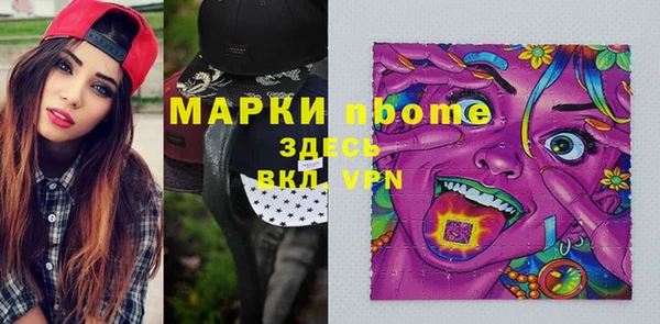 индика Вязьма