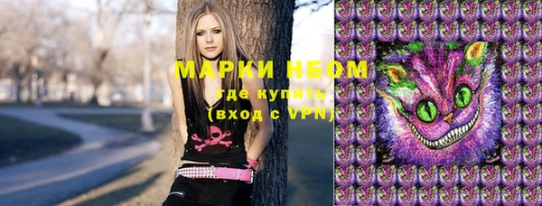 индика Вязьма