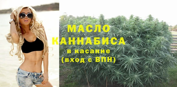 индика Вязьма