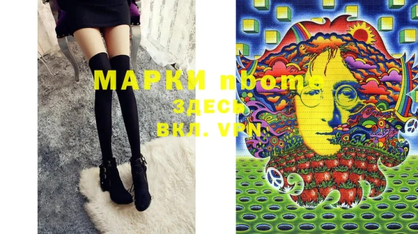 индика Вязьма