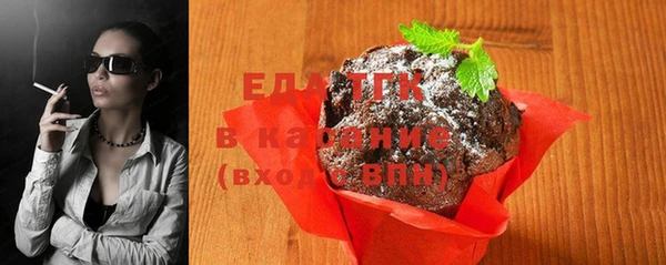 индика Вязьма
