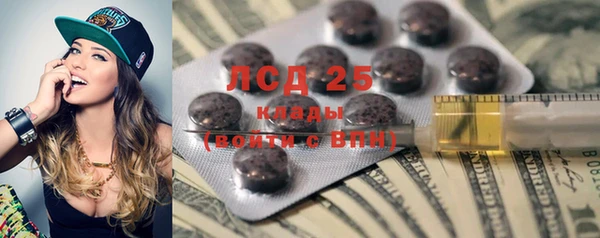 индика Вязьма