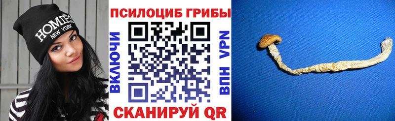 Галлюциногенные грибы ЛСД  Купить  Щёкино 