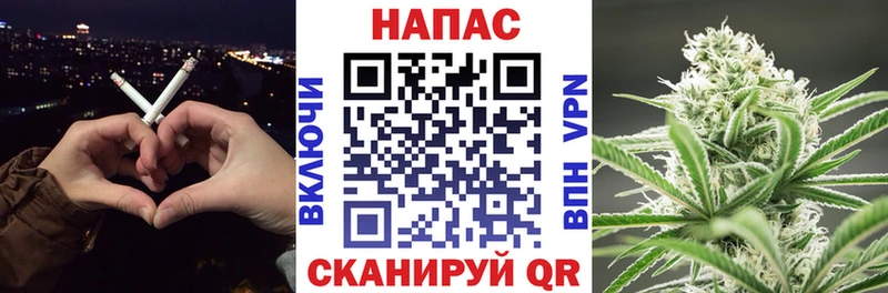 Купить где  Щёкино  Шишки марихуана Amnesia 